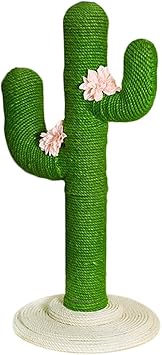 Amazon Com Bjl Cat Scratch Board Cactus Cat Climbing Frame Cat Litter Cat Climbing Tree Cat Scratch Board Bite Resistant Scratching Claw Cat Scratching Column Green Cat Scratch Board Size 37x37x80cm Amazon Com Bjl Cat Scratch Board Cactus Cat Climbing Frame Cat Litter Cat Climbing Tree Cat Scratch Board Bite Resistant Scratching Claw Cat Scratching Column Green Cat Scratch Board Size 37x37x80cm
