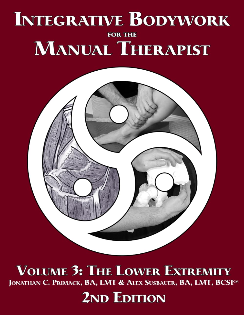 Integrative Bodywork for the Manual Therapist 2nd Edition Volume 3: The Lower Extremity      Paperback – July 4, 2022