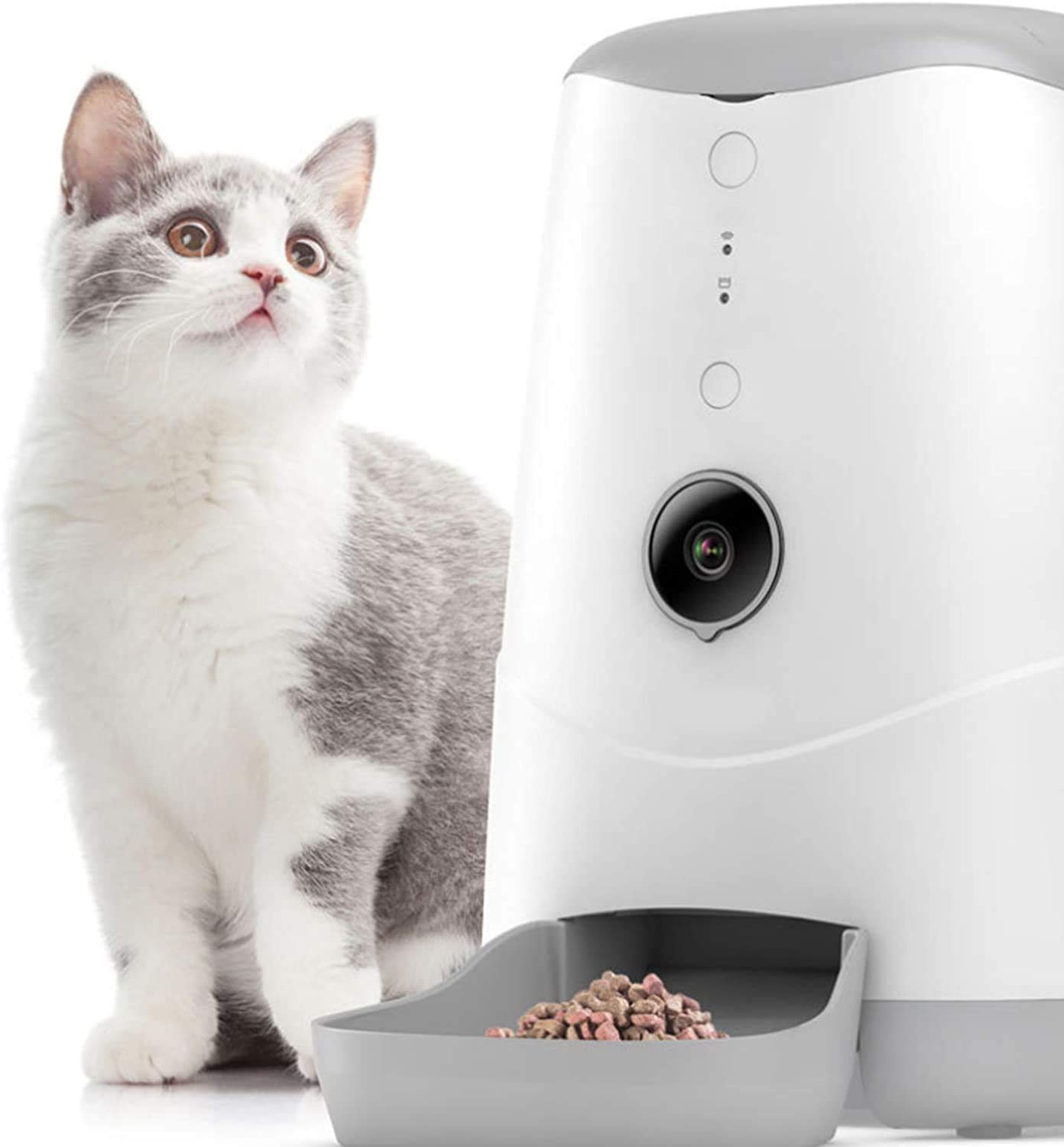 Alimentatore automatico per gatti per cani, distributore di cibo intelligente visibile da 3,7L per gatti e cani di piccola taglia con controllo app, timer programmabile, controllo portuale e reg