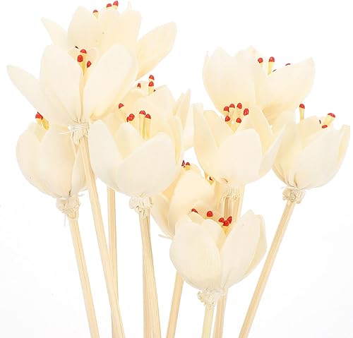 Miniatura 6 de Natural Rattan Decorative Diffuser Sticks Flower Aroma Reeds for Essential Oil Diffusers Adjustable Scent Release