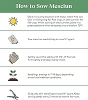 Vista 3 de Burpee Sweet Salad Mix Mesclun Seeds 750 semillas