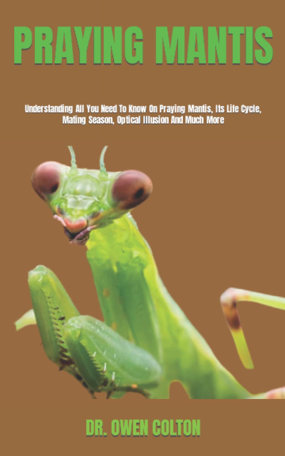 Buy PRAYING MANTIS Understanding All You Need To Know On Praying