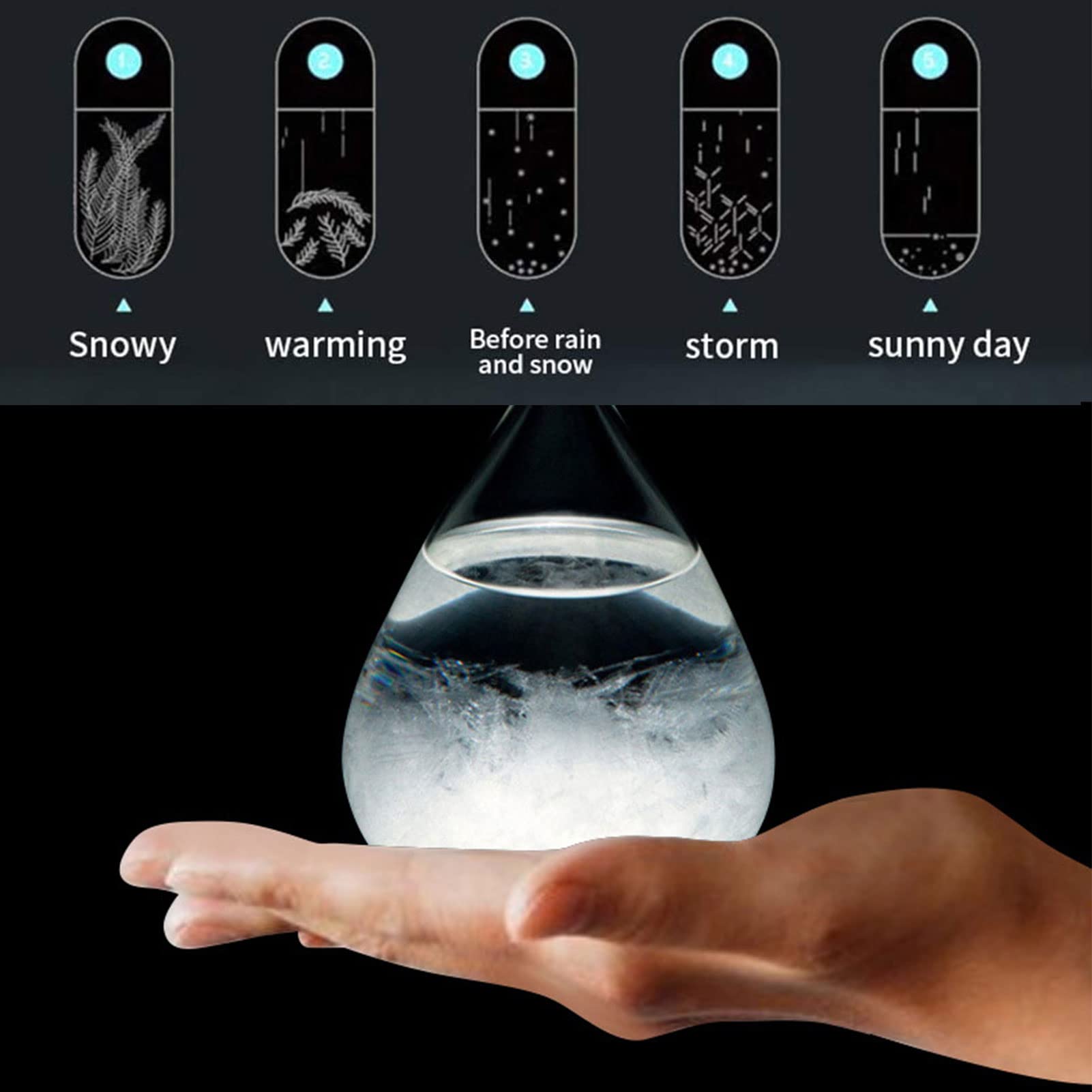 Weather Barometer Glass Weather Glass Bottle Cloud Shape Storm Glass Weather Predictor Bottle ...
