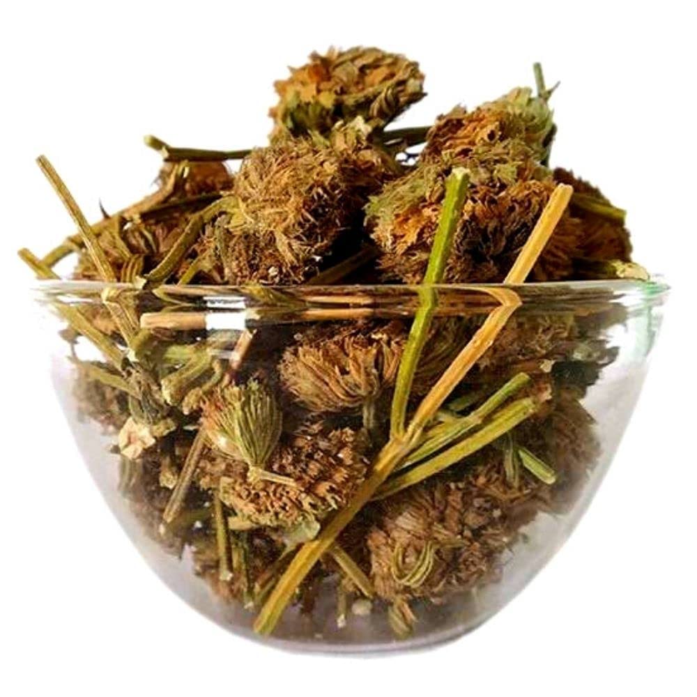 Leucas Aspera/?????? / Thumbai For Medicine Live Plant seeds 50 (B0BSNSPRJ1) Amazon Price History, Amazon Price Tracker