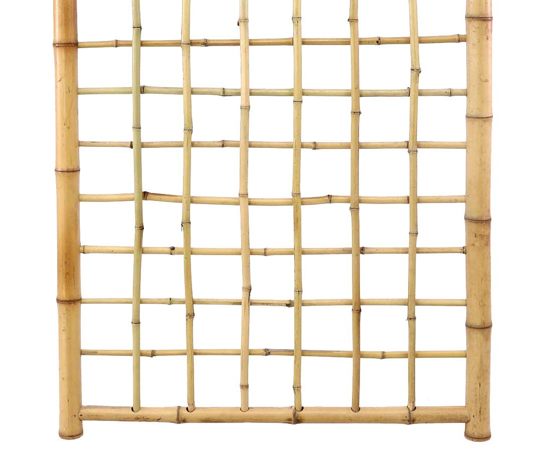 Bambus Rankgitter Ten NewLine4 180 x 90cm Spalier aus 20 Bambusrohren -  Rankhilfe aus Bambusstben 1,8m x 0,9m von bambus-discount.com : Amazon.de:  Garten