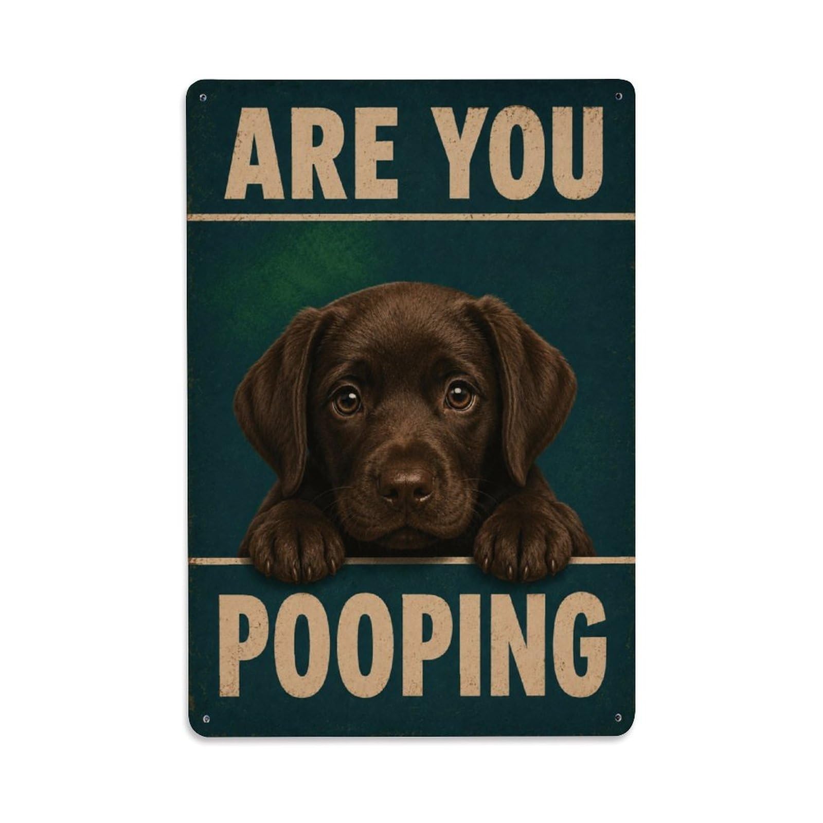 Chocolate Labrador Funny Pet Yard Vintage Rectangular Decor Sign Vintage Aluminium Metal Sign, Retro Wall Decor for Home, Bar, Garage & Farmhouse 30x20cm