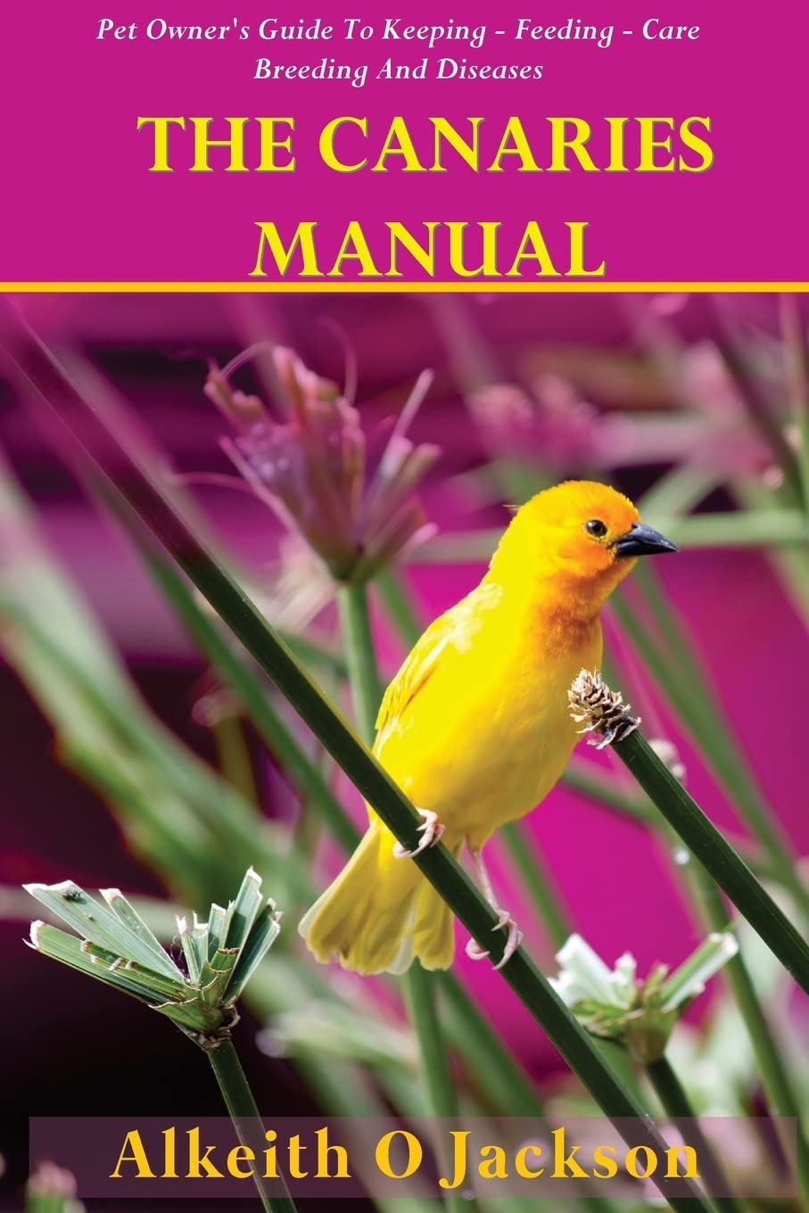The Canaries Manual: Pet Owner's Guide To Keeping - Feeding - Care - Breeding And Diseases: Volume 1 (Pet Birds)