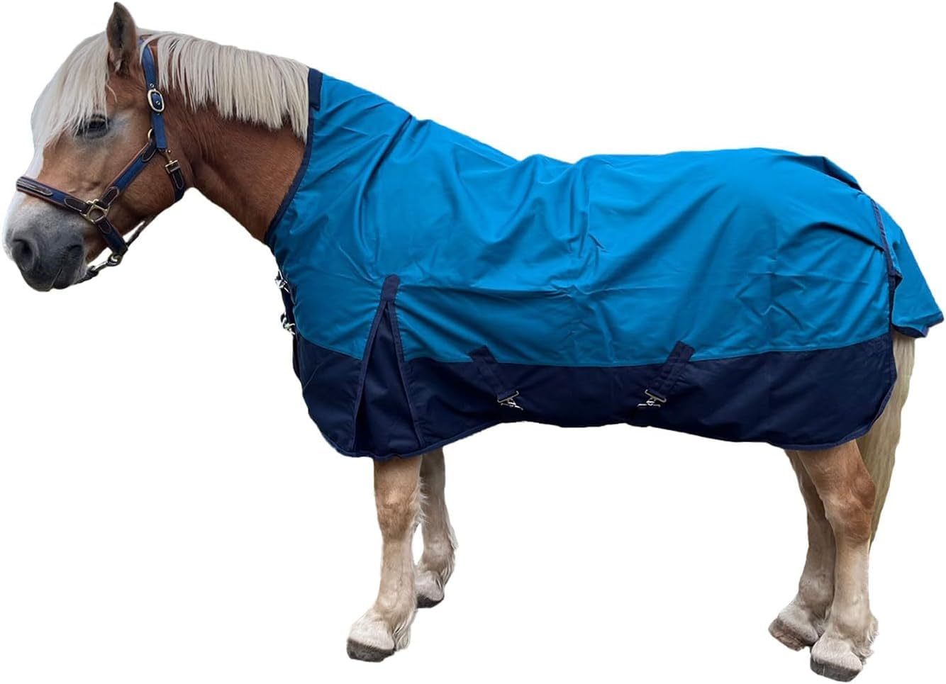 Brama-West Regendecke Pferd Zara - Turnout 1200D - Weidedecke mit Highneck - Wasserdicht (Blau/Navyblau, 135)