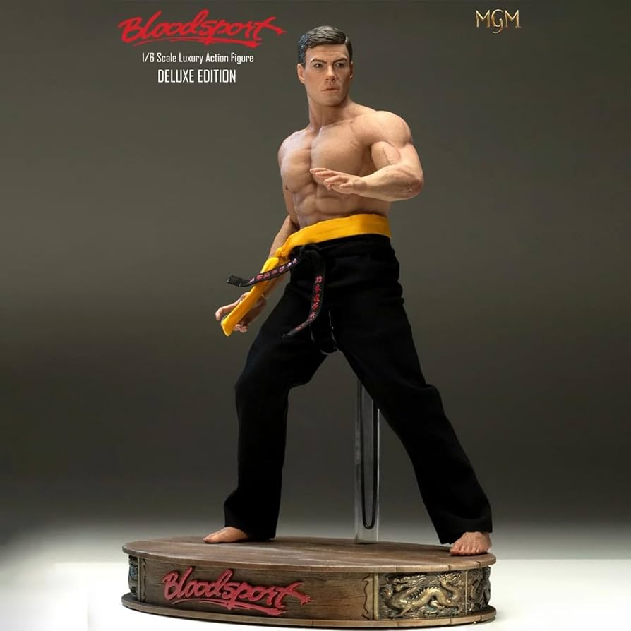 Amazon.co.jp: HiPlay Infinite 1/6 拳覇天下 -ブラッドポイント