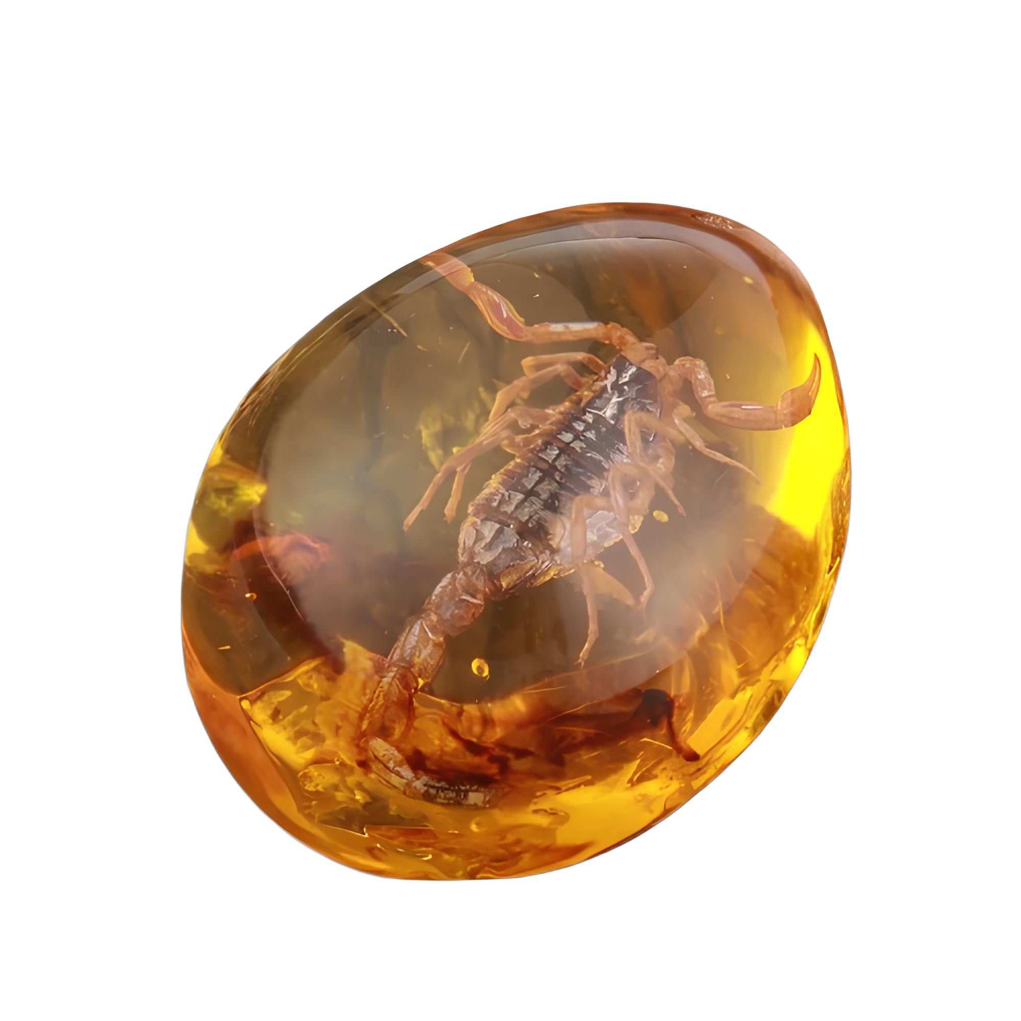 Resteq Unisex Undefinedamber Resin Scorpion In Amber Style For Amulet Or Keychain Gift