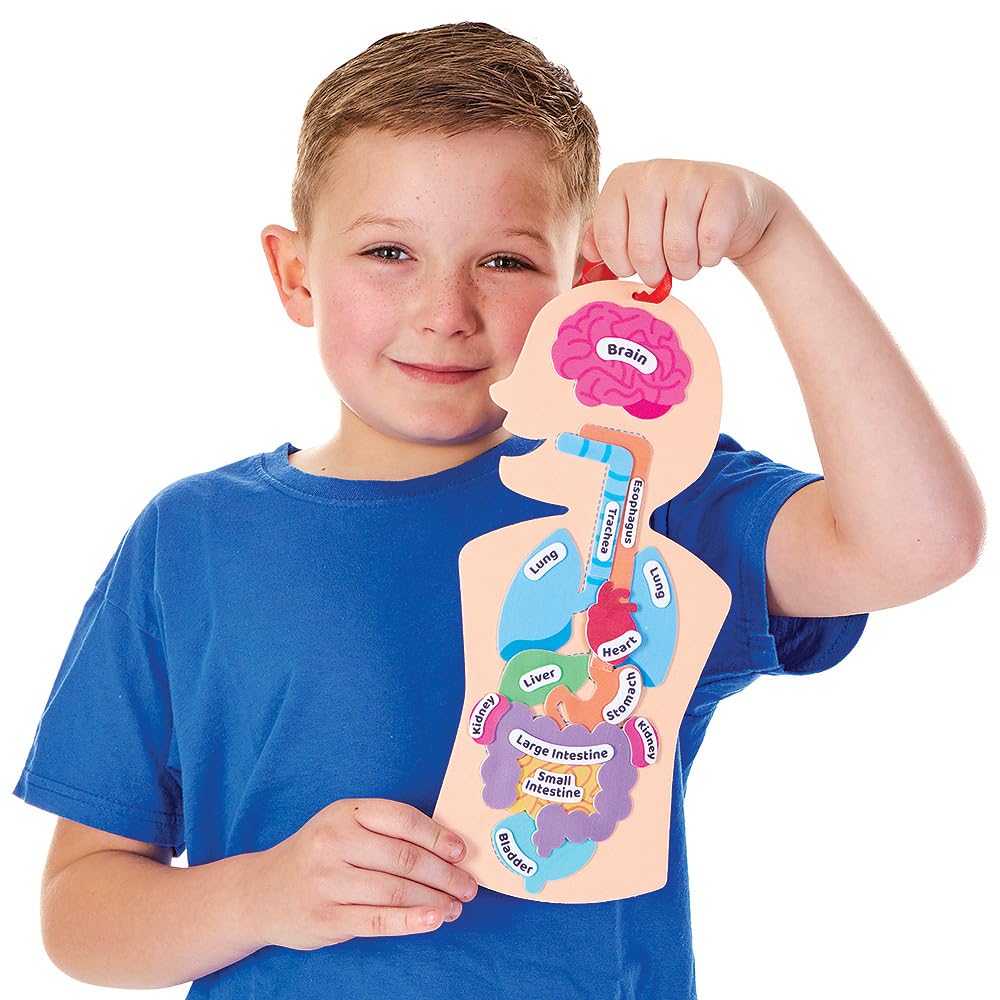 Kit Œil Humain Anatomie Pour Enfants - Lot De 4 - STEM Science Santé - Baker Ross - 9