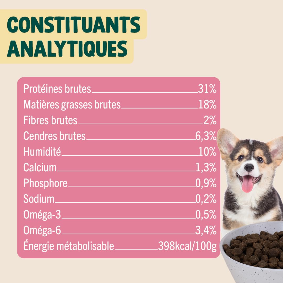 FRANKLIN – Croquette pour Chiot – 73% de Dinde et Truite – 6 kg | Sans Légumineuses et Sans Céréales – Riche en protéine – Digestion Facile – Croissance Optimale - Taille 13mm