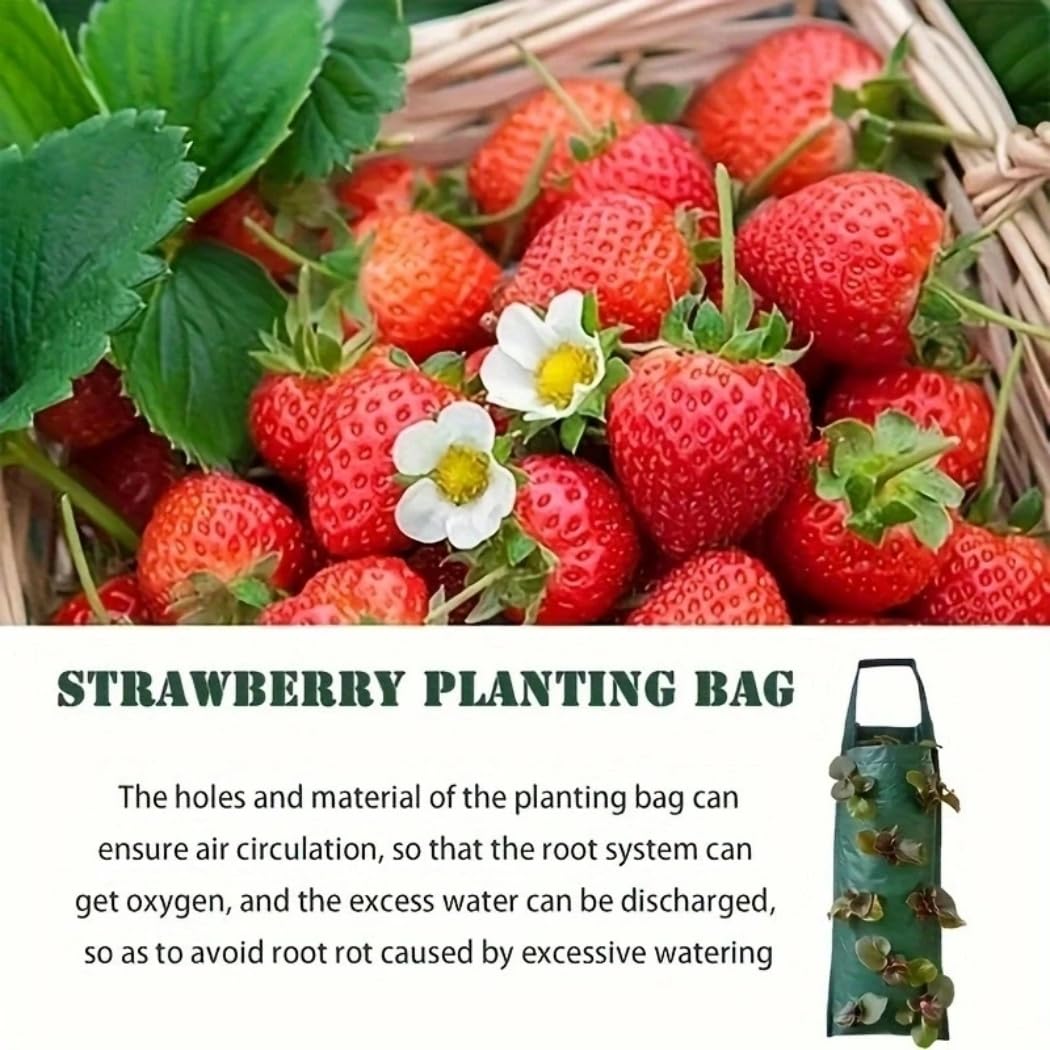 Fioriera sospesa, fioriera da appendere, per fragole, pomodori da giardino, patio, giardino, borse per coltivare piante di fragole, robusto manico da appendere (8 fori, 12 pezzi)