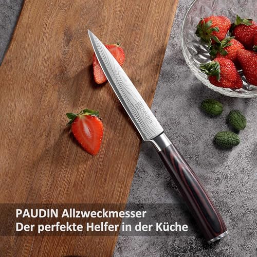 PAUDIN PAUDIN Kochmesser Allzweckmesser Profi 13 cm Scharf Küchenmesser Chefmesser aus rostfreiem Deutscher Edelstahl mit ergonomischem Griff - Zusatzansicht 4 | Küchenmesser