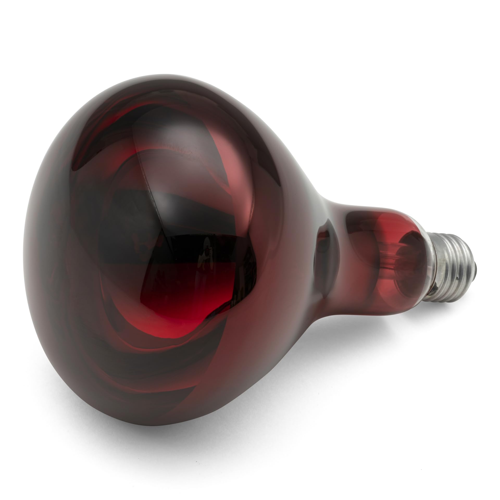 Agrarzone Starter kit allevamento Pulcini: mangimiera, Abbevveratoio e lampada riscaldante - Kit completo per iniziare, Robusto e facile da pulire - Ideale per Pulcini, Galline e volatili