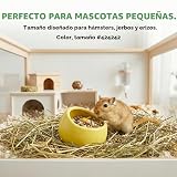 Ver la foto 6