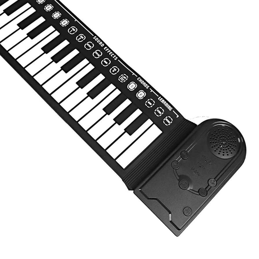 ハンドロールアップピアノ ポータブル Amazon.co.jp: ANYPIA Hand Roll Up Piano Electronic Portable