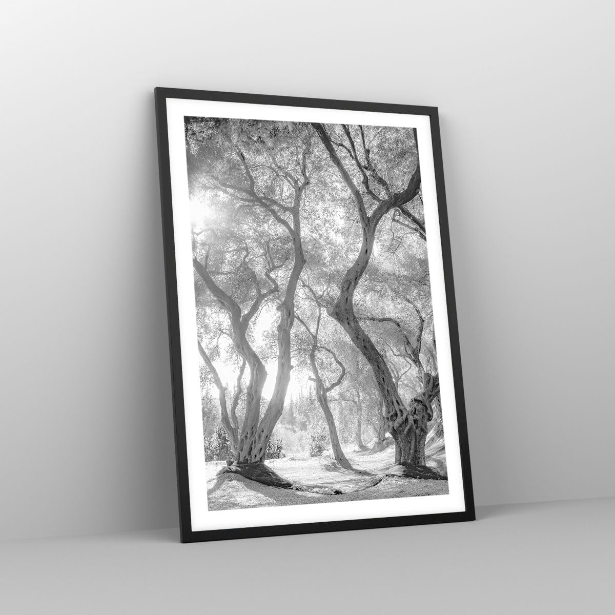 ARTTOR Poster Wandbild Kunstdruck 50x70cm Botanik Schwarz-Weiß - 5354 - P2B | Wald Winter Bäume Vertikal mit schwarzem Rahmen Wohnzimmer Schlafzimmer Küche Büro Wanddeko Kunstposter ARTTOR