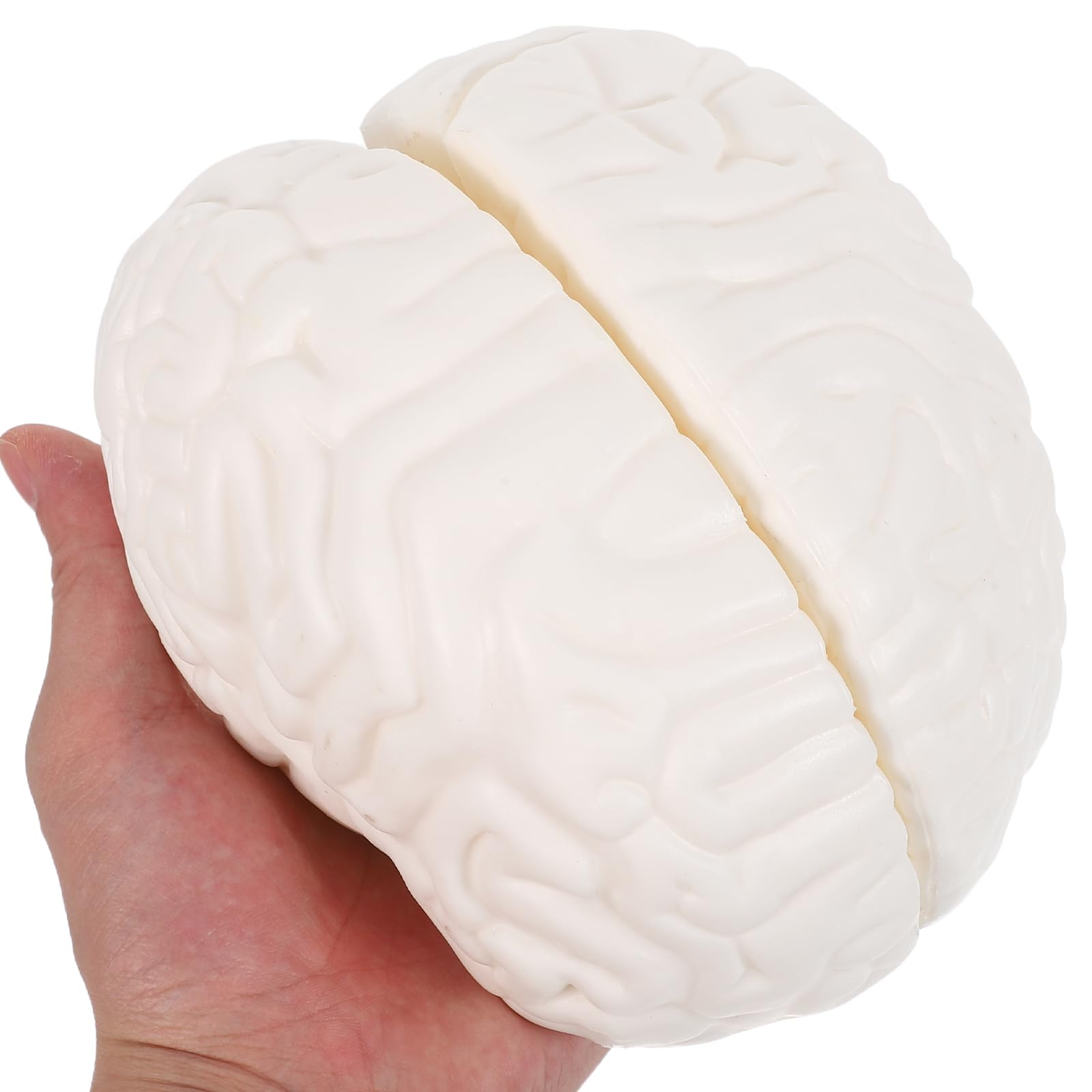 Modello Anatomico Cervello Dettagli Realistici, 3 Parti Smontabili, Materiale Durevole, Strumento per Studio Biologia e Ricerca Medica