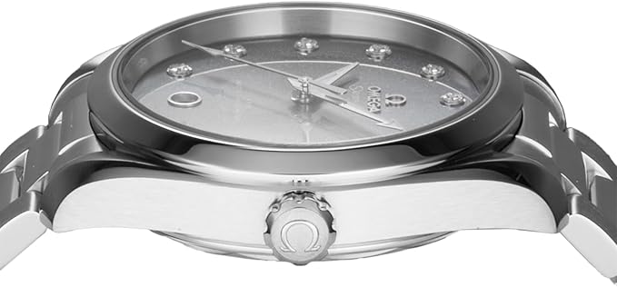 シーマスタ-アクアテラ 画像 4