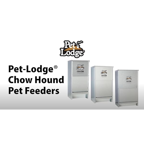 Pet Lodge Automatic Dog Feeder 50 lb Chow Hound Pet Feeder (Item No