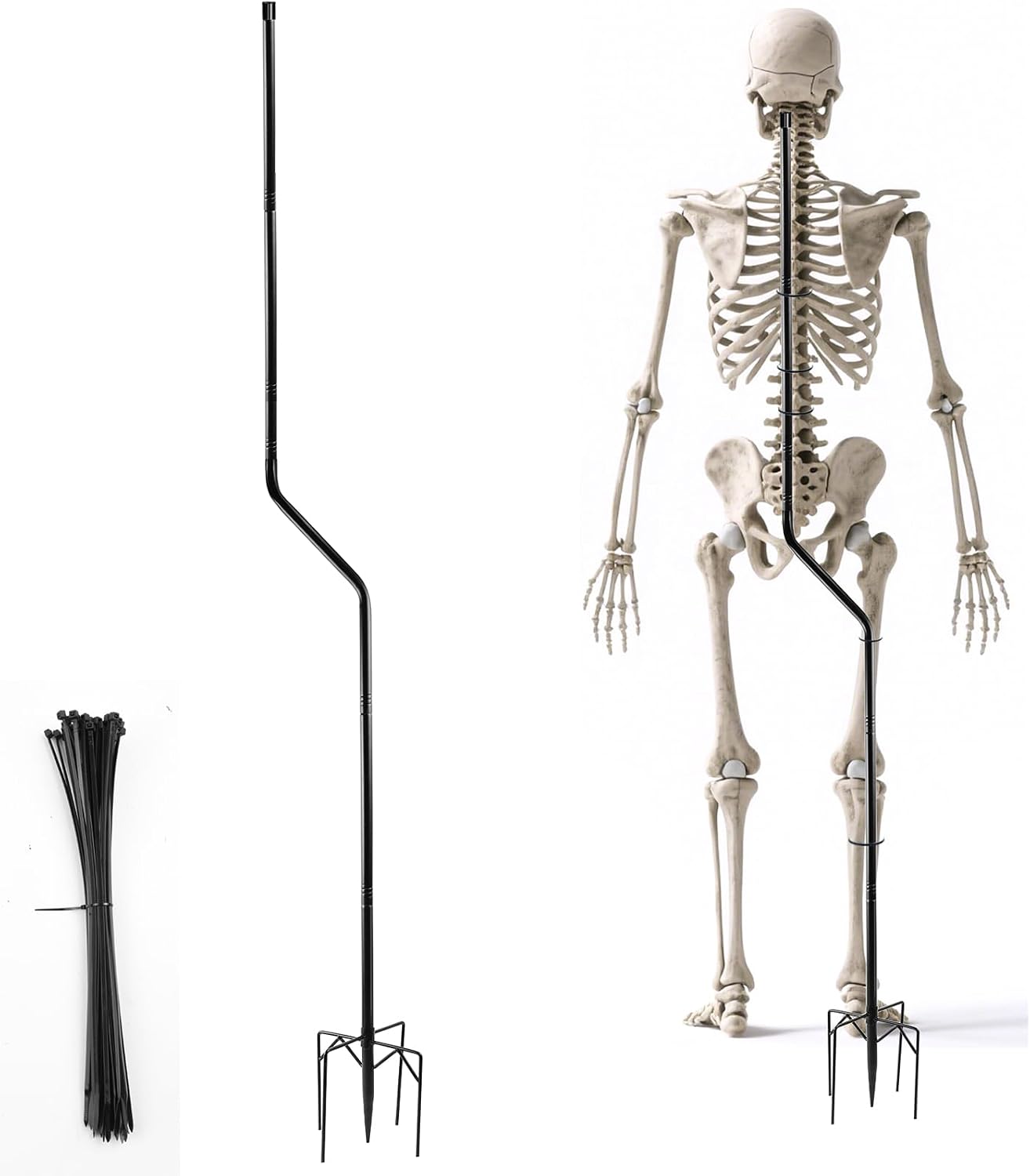1Set Adjust Metal Skeleton Stand for 5.9/6.56ft Halloween Skeleton,30 Ties