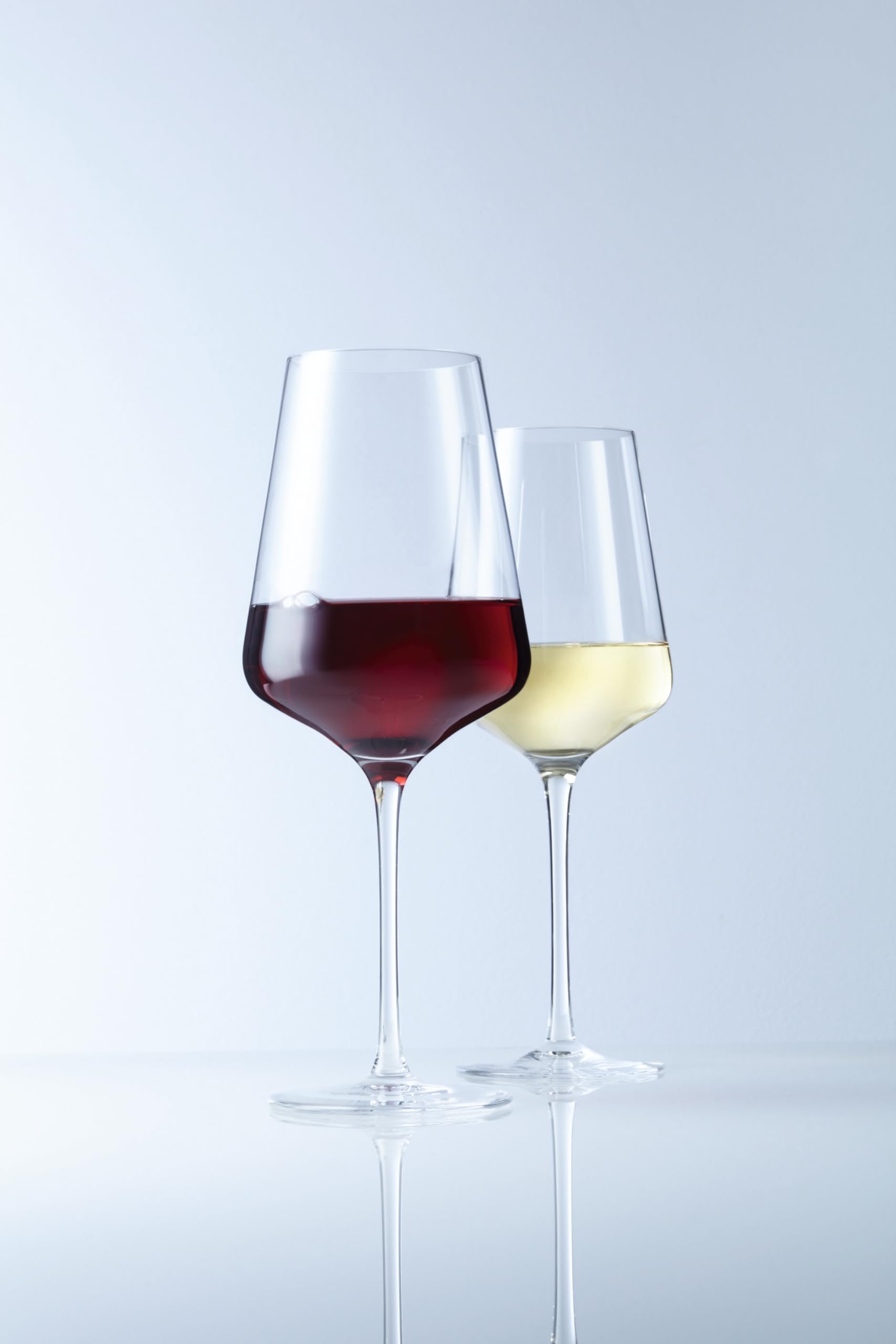 LEONARDO HOME Puccini Weingläser, 12er Set, spülmaschinenfest, 6 Rotwein-Gläser 750 ml, 6 Weißwein-Gläser 560 ml, Wein-Kelch mit gezogenem Stiel