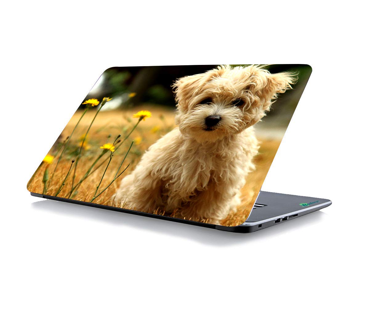 See full amazon price history chart for ISEE 360® Laptop Skin Dog 13 13.3 Inches Laminated Hd Qualirty Waterproof with Free Trackpad Stickers Boys Girls Vinyl Printed Multicolored Lp0046 ISEE 360® Laptop Skin Dog 13 13.3 Inches Laminated Hd Qualirty Waterproof with Free Trackpad Stickers Boys Girls Vinyl Printed Multicolored Lp0046 (B08P5V5ZKL) Amazon Price History, Amazon Price Tracker