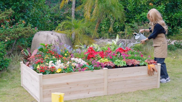 Amazon.com: SPECRAFT 8x4 Ft Wood Raised Garden Bed, Durable 15