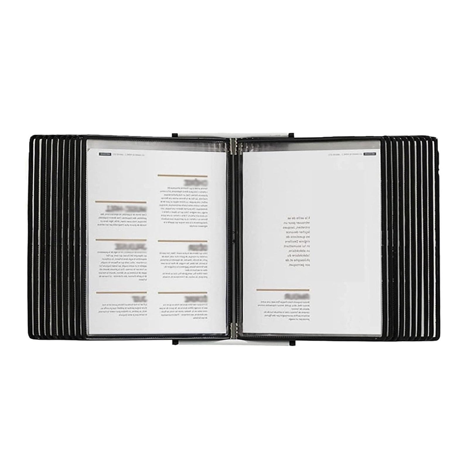 YNIYUJKL Desktop Reference Organizer Display File Rack,And Metal Organizer, 20 Double-Sided Pockets, For Workshop And Storage A4 Documents