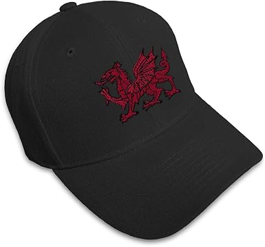 Custom Baseball Cap Wales Flag Dragon 