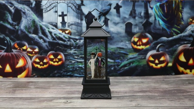 The Holiday Aisle® Halloween Snow Globes, Skull And Black Cat Scene Snow Globes, Glittering Lantern With Timer, Snow Globe Lantern USB Or Battery Powered For Halloween Decor
