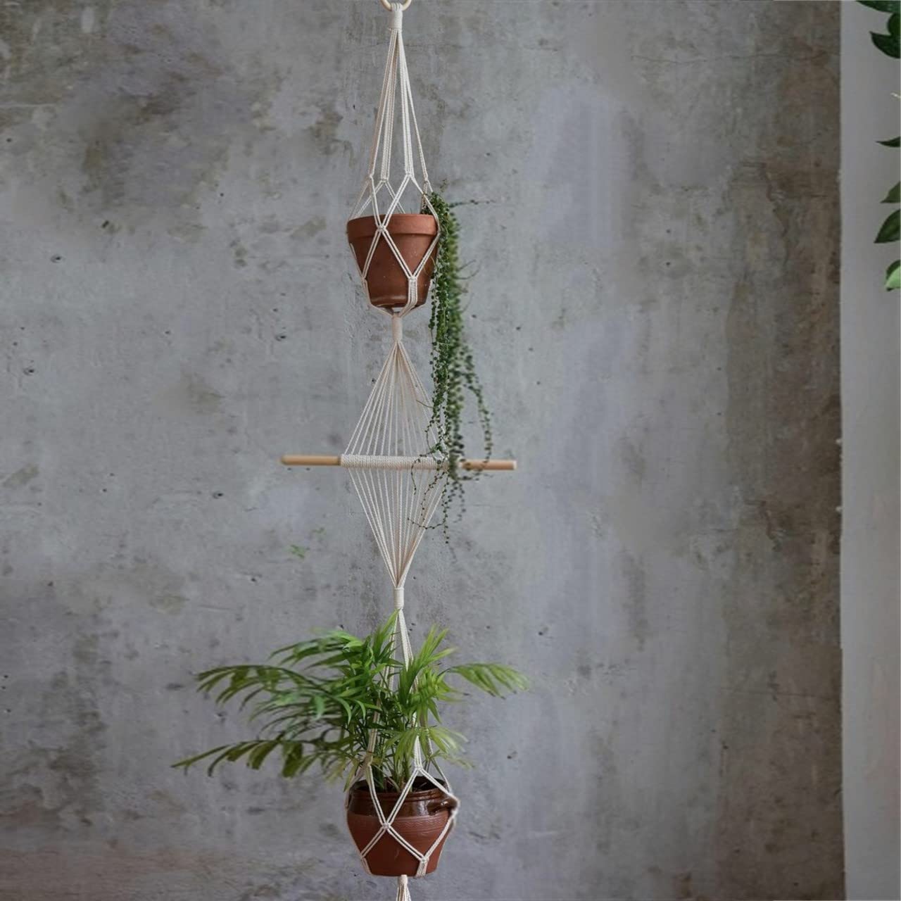 ecofynd Macrame Plant Hanger [Without Pot] | Rope Flower Pot Holder for Indoor Outdoor Balcony Garden | Home Decor Jute Hanging Basket (Pack of 1 - M41 (Two Tier/64 inches)) (B09K7S32ZB) Amazon Price History, Amazon Price Tracker
