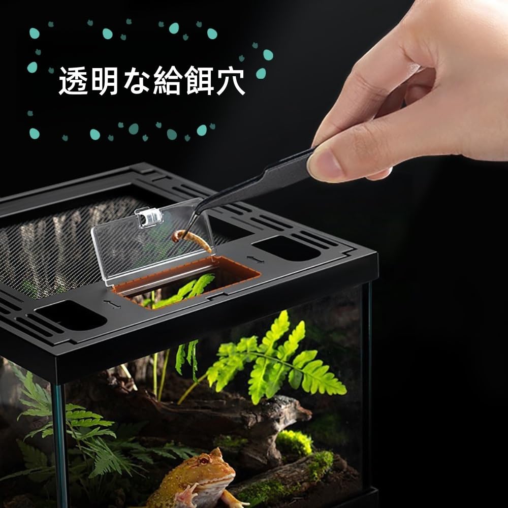 レプタイルボックス　セット Amazon | 爬虫類 ケージ カゲ 飼育セット 通気性 の給餌ボックス