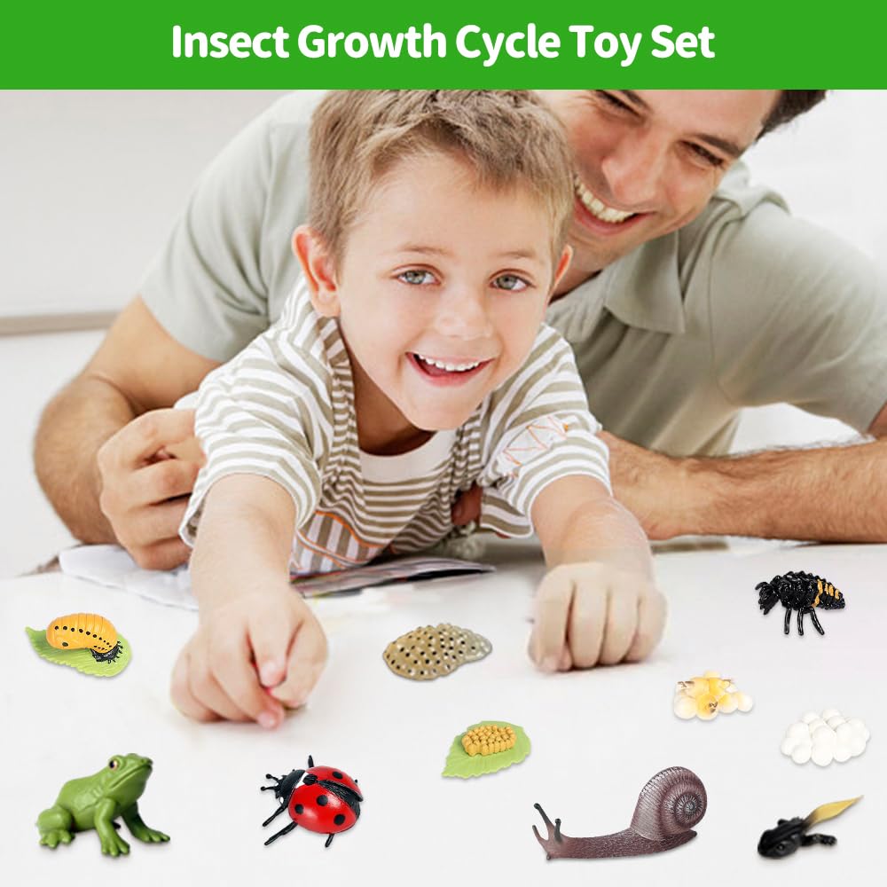 Jonuin Insect Life Cycle Toys, 13 Pcs Insect Toys Life Cycle of Frog, Ladybug & Snails Action Model - Image 4