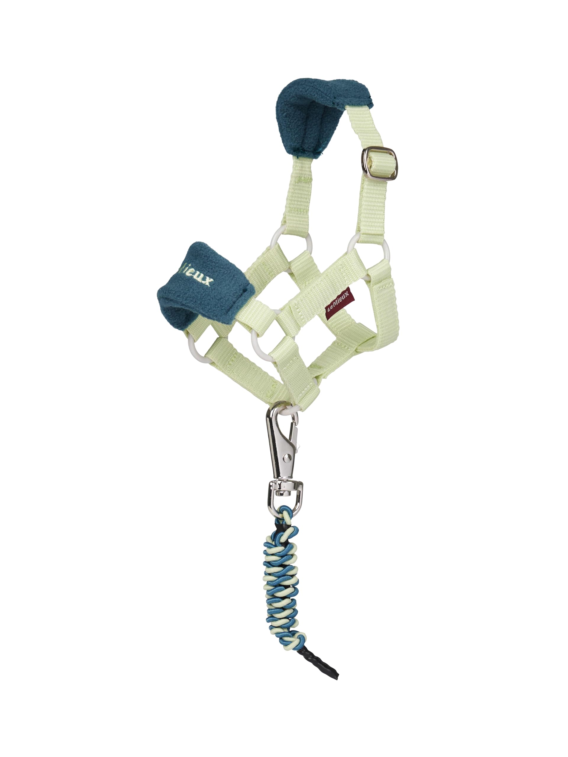 LeMieux Collar de cabeza y cuerda de plomo para pony, apto para mayores de 3 años, versión de juguete perfecta del collar de cabeza LeMieux Vogue, color macaron