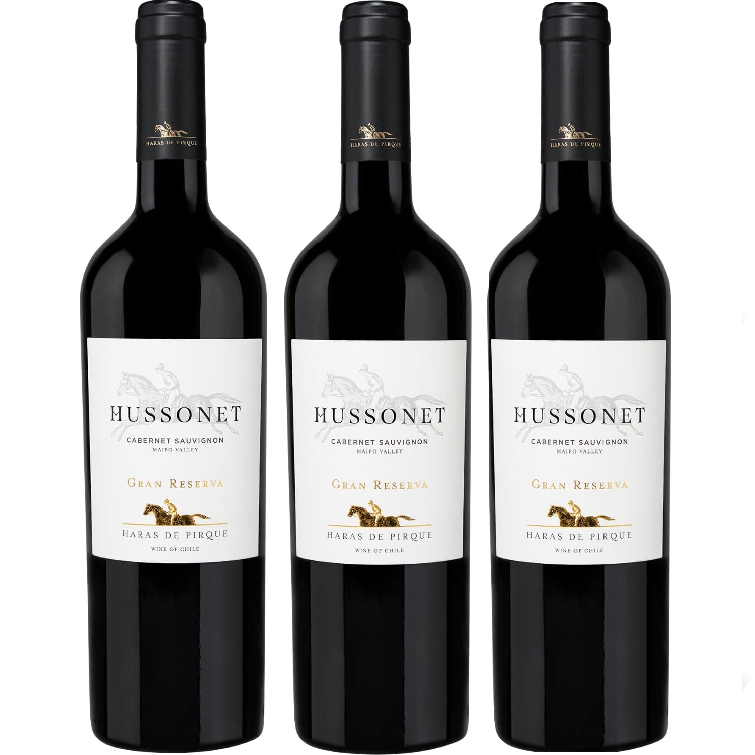 Haras de Pirque Hussonet Cabernet Sauvignon Gran Reserva Bio Rotwein Wein Trocken Chile Ink FeinWert E-Book (3 x 0,75l)
