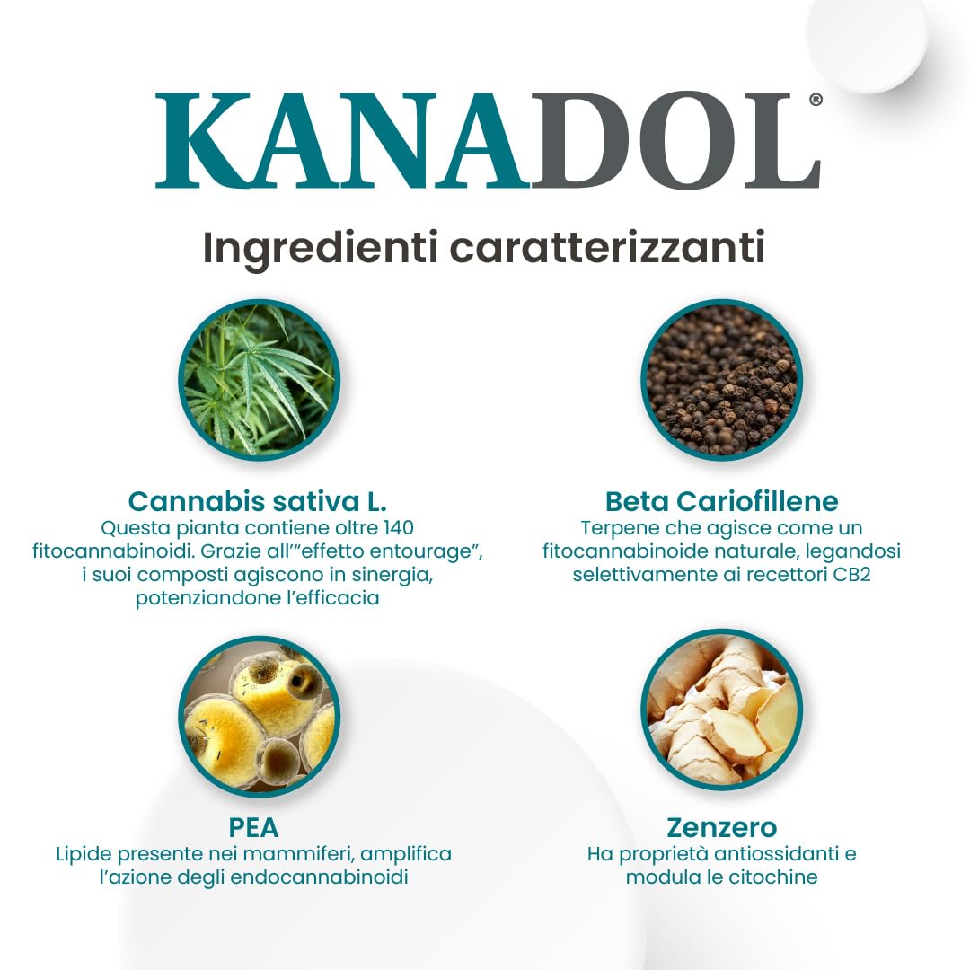 Aurora Biofarma Kanadol 50 Compresse - Mangime complementare utile per la normale funzione del sistema nocicettivo ed endocannabinoide - Adatto a Cani e Gatti