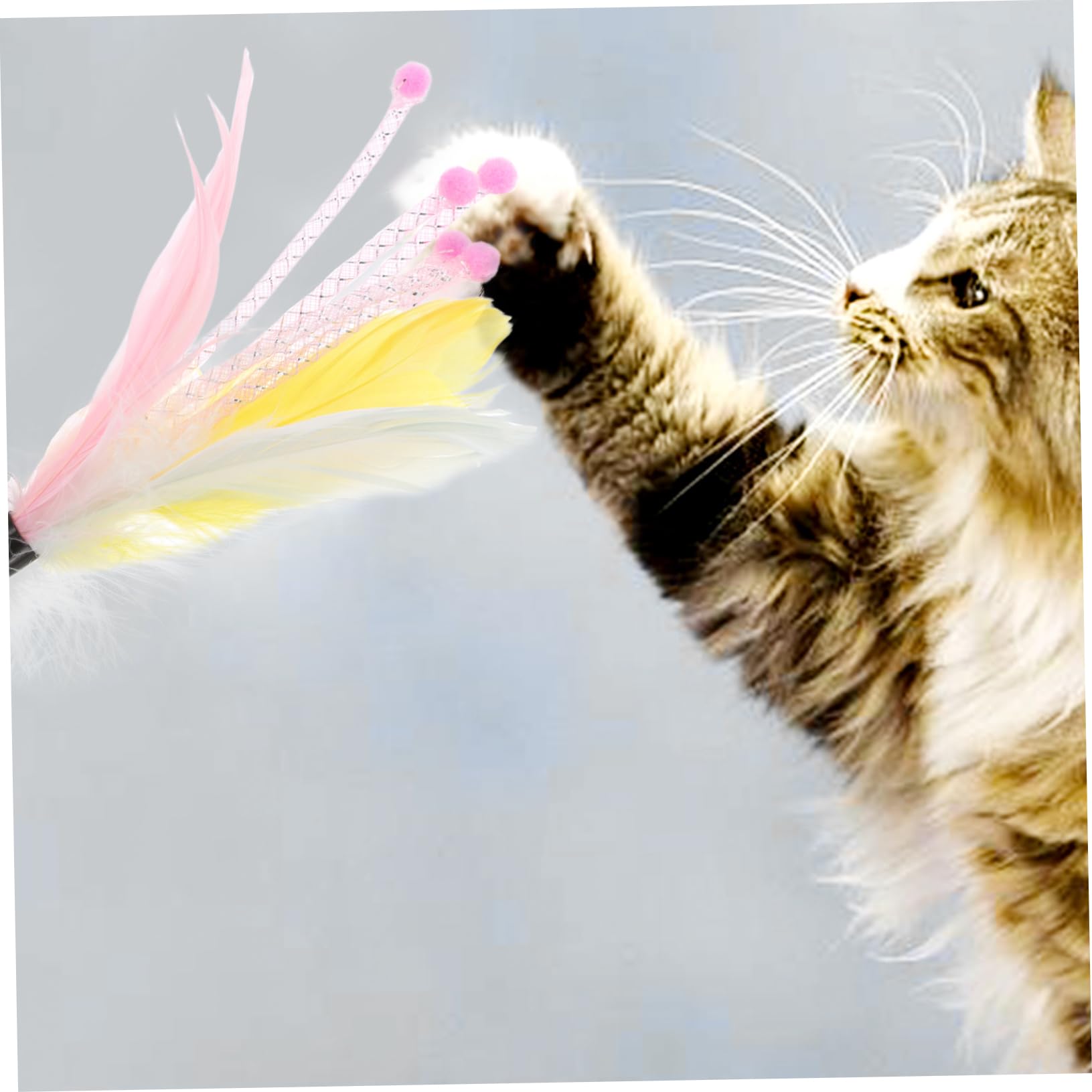 Hohopeti 40pièces Jouets à Plumes pour Chats Recharge De Interactive pour Chat Accessoires De Jeu pour Énergie Et Ennui des Félins