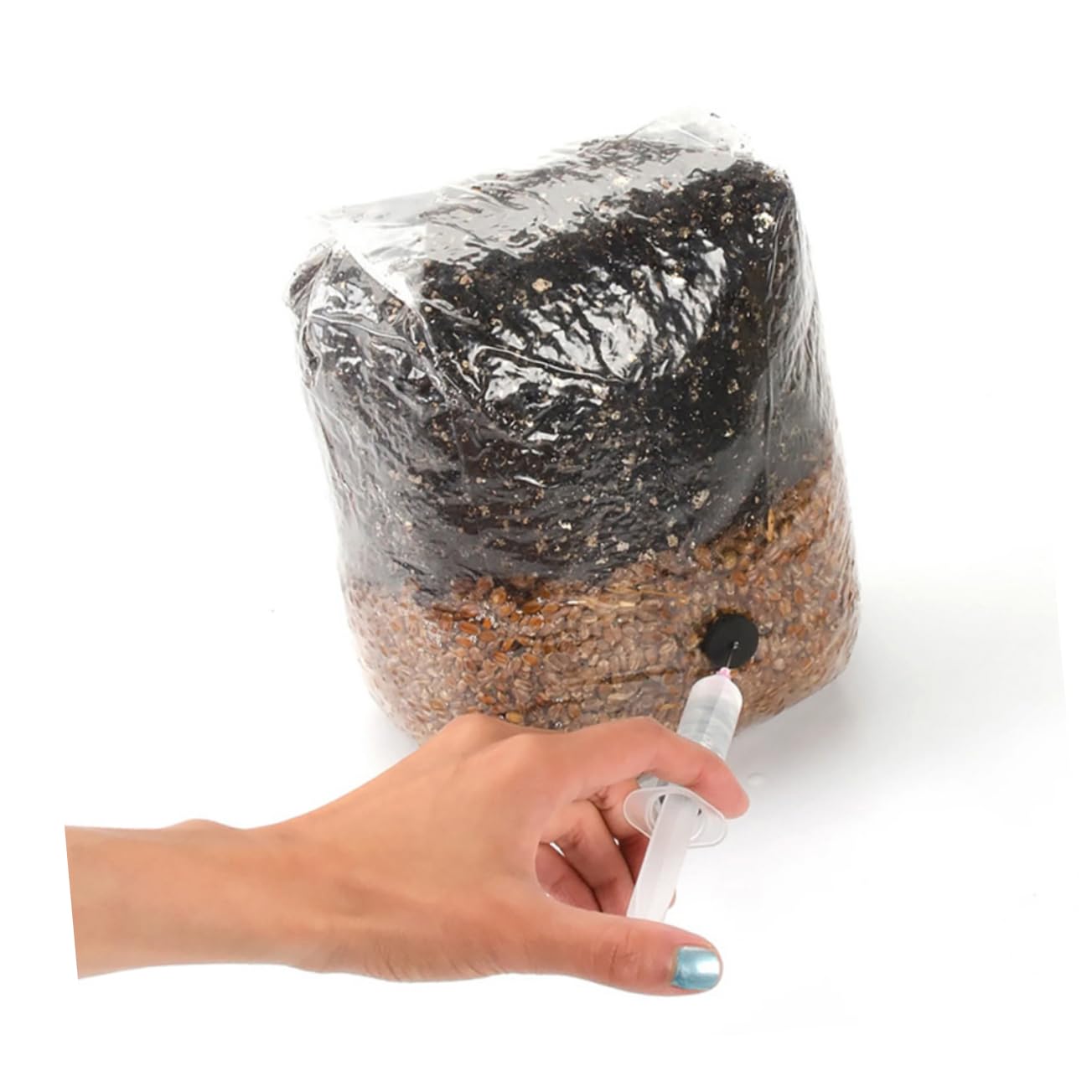 Milisten 50 Pièces Sacs de Culture pour Champignons Kit de Culture de Pleurotes Sacs Collecteurs de Poussière Stérilisé Pliables pour Champignons avec Filtre