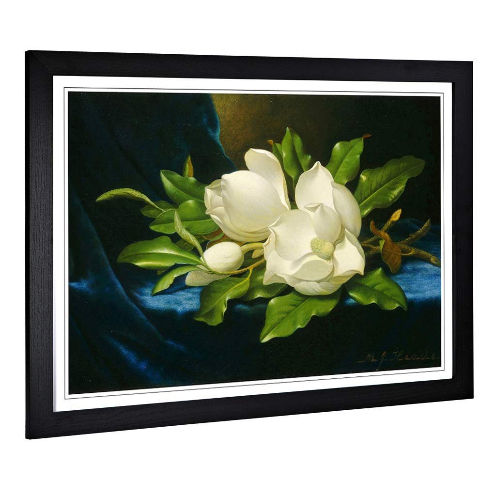 Big Box Art Framed Print of Martin Johnson Heade Giant Magnolias Design | Wall Art Picture | Home Decor for Kitchen, Living Room, Bedroom, Hallway, Black, A2 / 24.5x18 Inch / 62x45cm