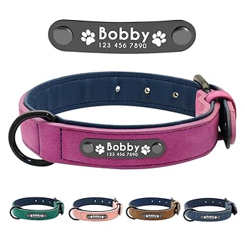 Didog Leather Custom Dog Collar,Engraved Dog Collars with Personalized Nameplate,Padded Custom Collar for Small Medium Large Dogs,Purple S Size