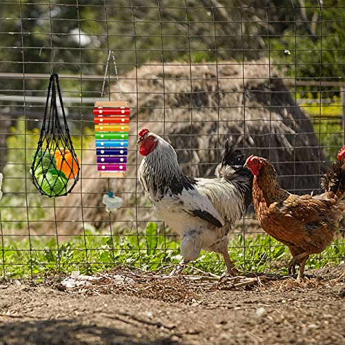 KIEYYRYT 6 Packs Chicken Toys for Coop Accessries, Chicken Swing Toys for Chicken Hens, Chicken Xylophone Toys and… - Image 7