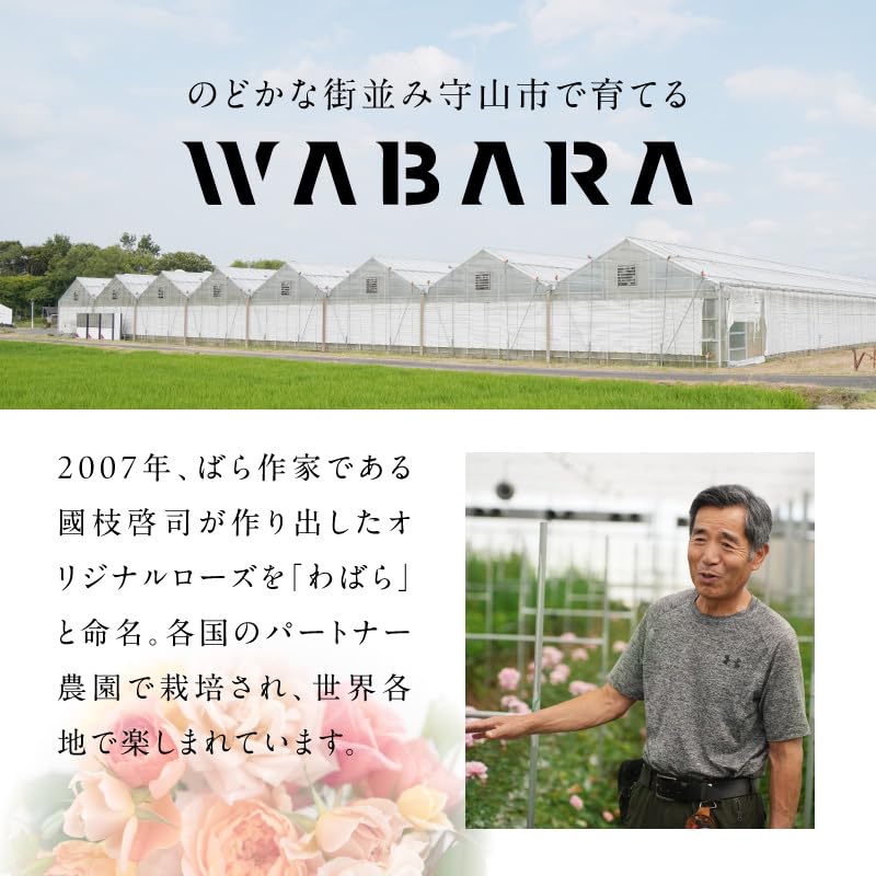 Amazon｜WABARA わばら花束 S-ROSE CHARLOTTE PERRIAND わばら15本程度