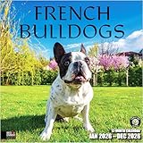 RED EMBER Select - French Bulldogs 2026 Wall Calendar 12 Month | 12" x 24" Open | Thick & Sturdy Paper | Giftable | Cute Frenchie Puppy Dog Calendar 2026