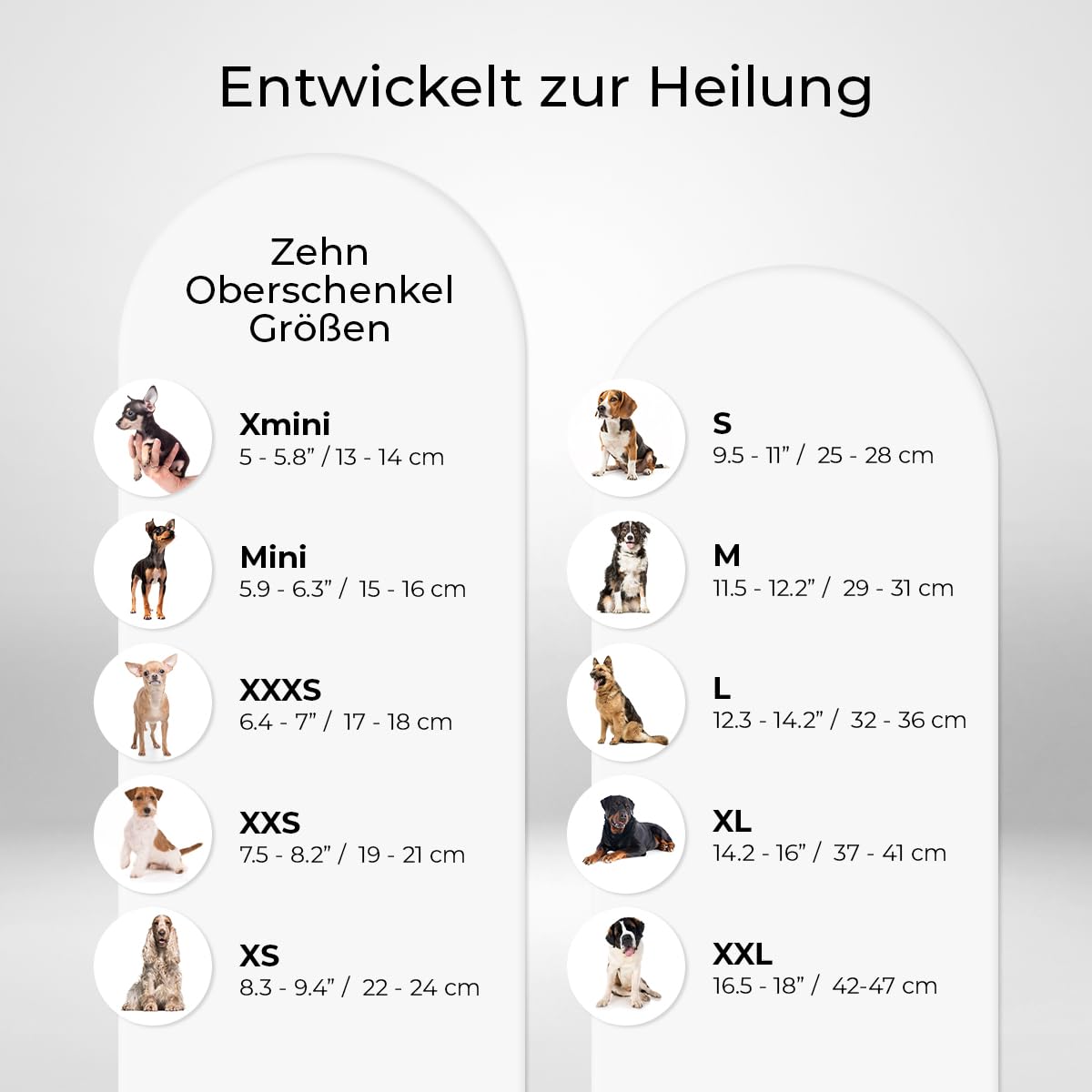 Ortocanis - Kniebandage Hund Hinterbein für das Linke Bein - Hergestellt aus Neopren ARD - Bei Kreuzbandriss, Bänderverletzungen, Patellaluxation oder Osteoarthritis - Größe Medium (11,5-12,2")