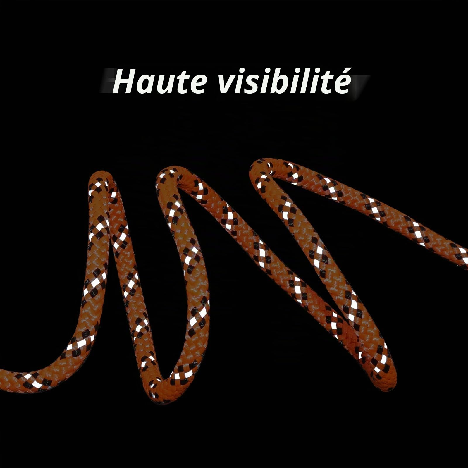 XiaZ Câble d'attache pour Chien pour Camping, système de Chariot Portable de 15,2 m pour Chiens jusqu'à 90,7 kg, Laisse pour Chien, Cour, Camping, Parcs, événements en Plein air, Installation en 5
