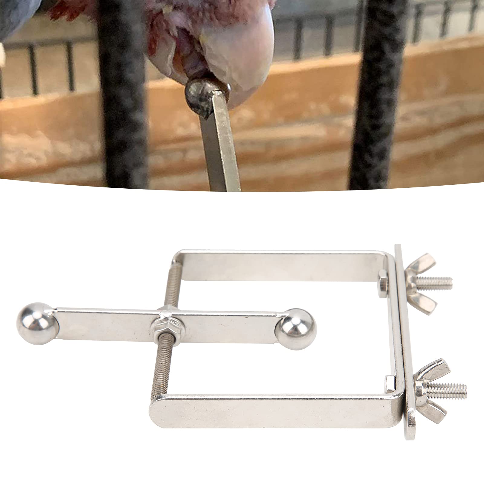 Jouet pour perroquet d'oiseau spinner d'intelligence et mastication