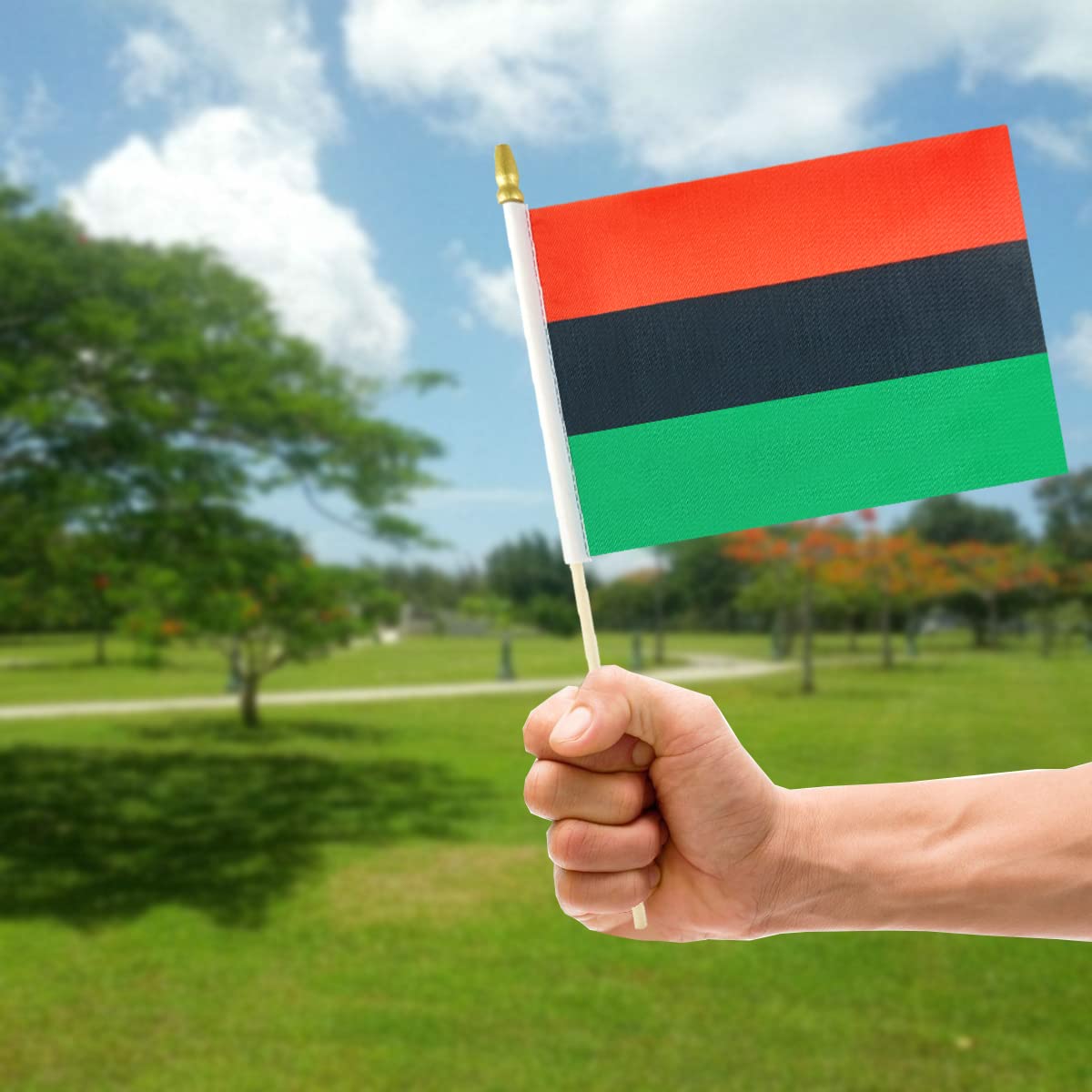 Amazon.com : QQSD African Afro American Small Flag Stick Black