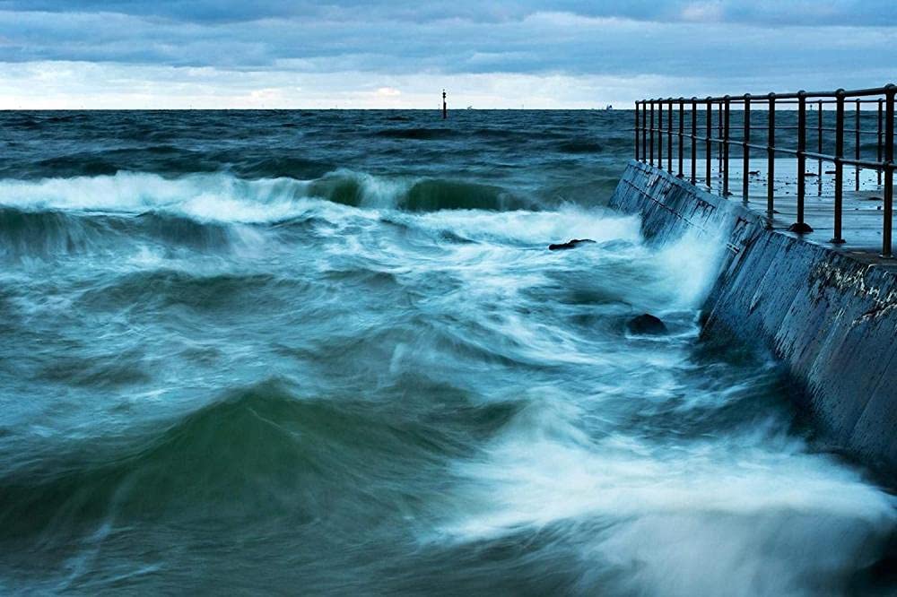 YGRHHP Cross Stitch Adult Starter Kit 11CT - Breakwater - DIY Animal Gift Crafts Handmade Kids Adult pre-Printed Pattern Home Decoration-JNR-BICN-YBZ